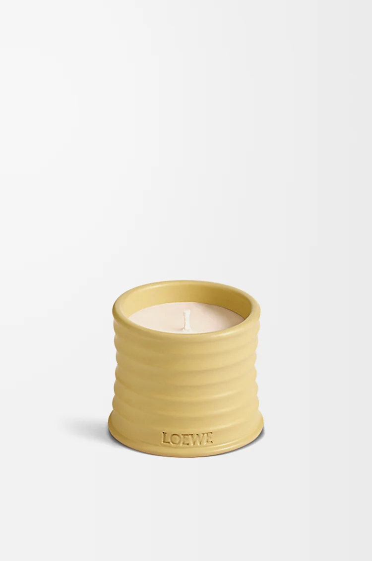 Small Honeysuckle candle Yellow - LOEWE USA Official Website
