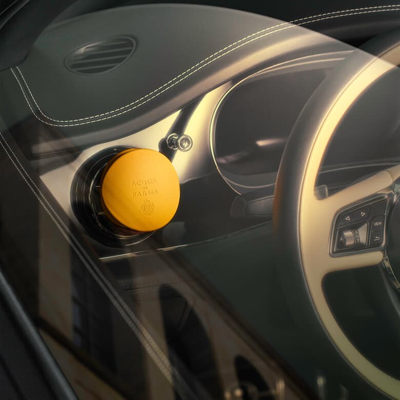 Leather Car Diffuser