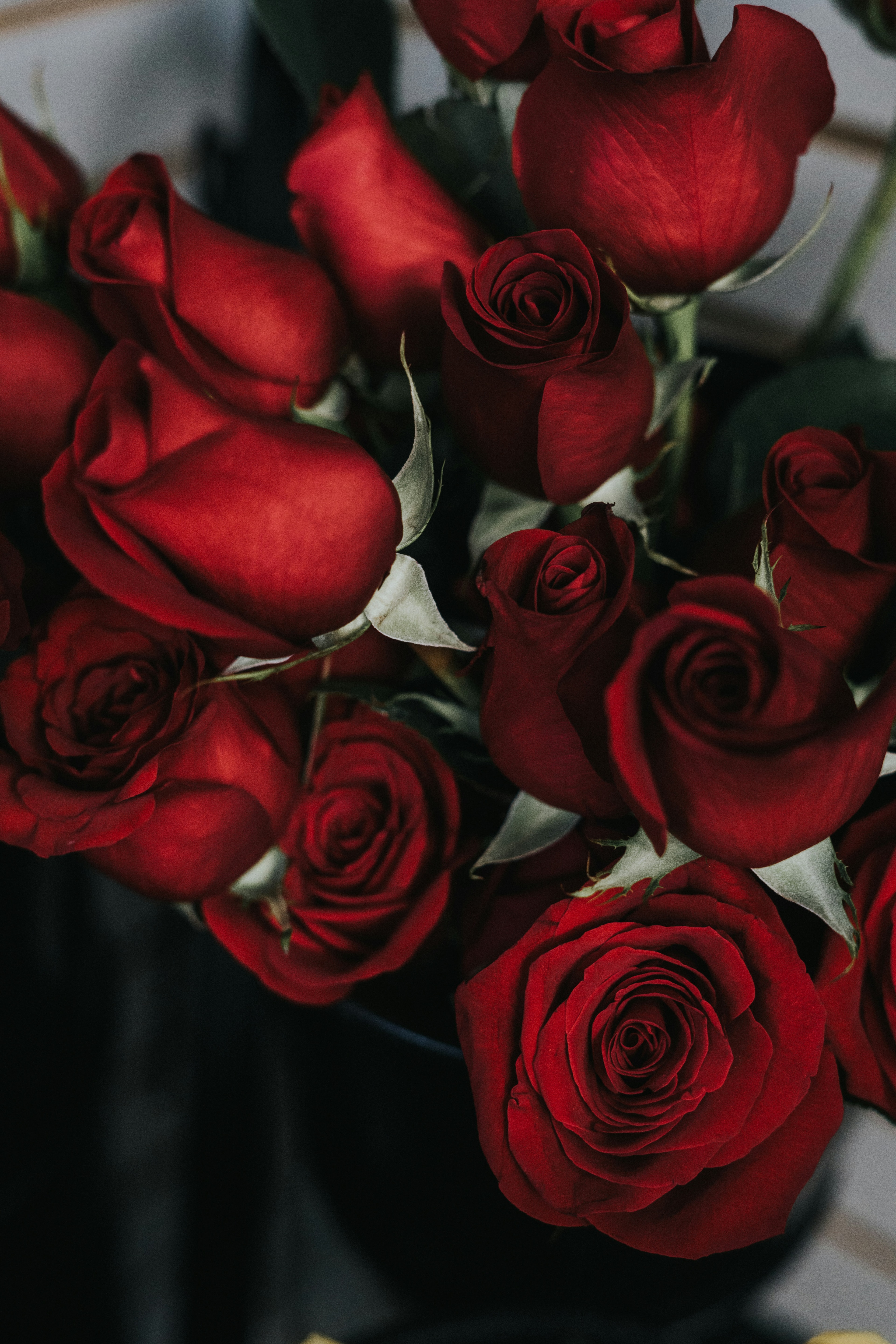 Valentijnsdag